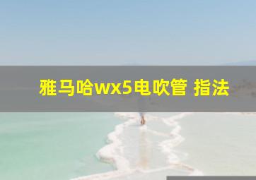 雅马哈wx5电吹管 指法